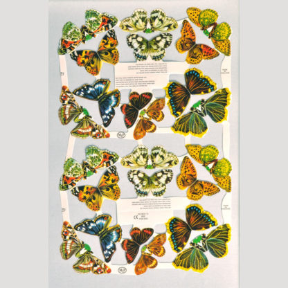 Butterflies Scrap Sheet 1