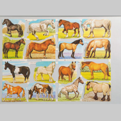 Horses Scrap Sheet 4